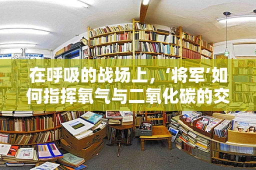 在呼吸的战场上，‘将军’如何指挥氧气与二氧化碳的交响乐？