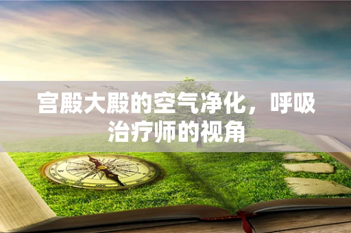 宫殿大殿的空气净化，呼吸治疗师的视角
