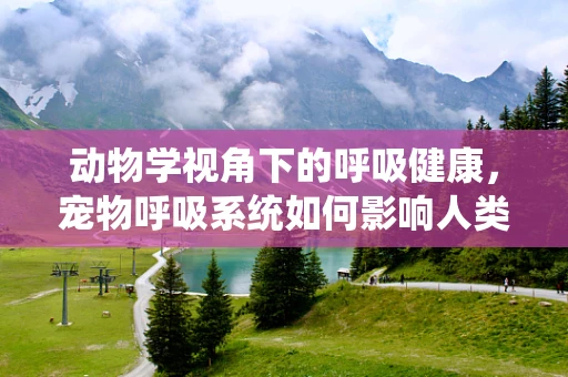 动物学视角下的呼吸健康，宠物呼吸系统如何影响人类治疗策略？