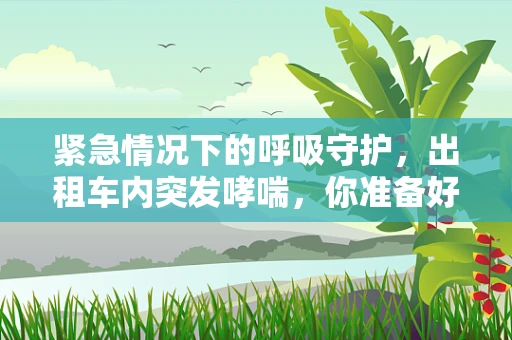 紧急情况下的呼吸守护，出租车内突发哮喘，你准备好了吗？
