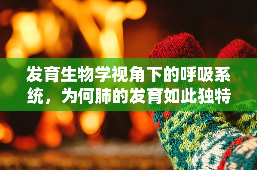 发育生物学视角下的呼吸系统，为何肺的发育如此独特？