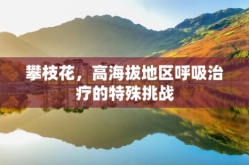 攀枝花，高海拔地区呼吸治疗的特殊挑战