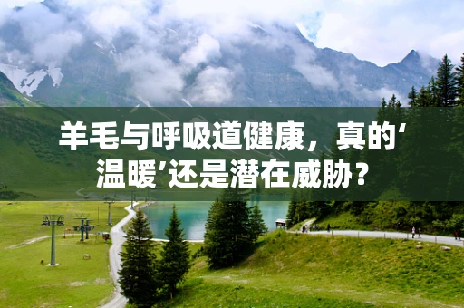 羊毛与呼吸道健康，真的‘温暖’还是潜在威胁？