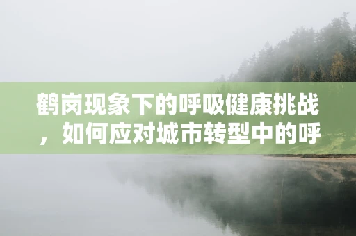 鹤岗现象下的呼吸健康挑战，如何应对城市转型中的呼吸疾病高发？