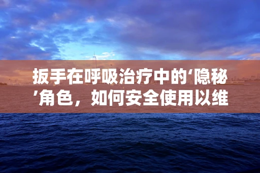 扳手在呼吸治疗中的‘隐秘’角色，如何安全使用以维护设备？