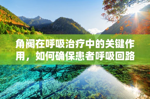 角阀在呼吸治疗中的关键作用，如何确保患者呼吸回路的密封性？