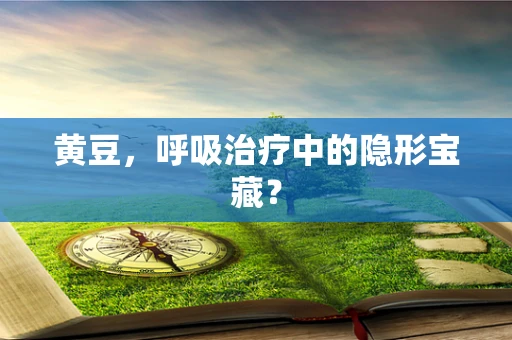 黄豆，呼吸治疗中的隐形宝藏？