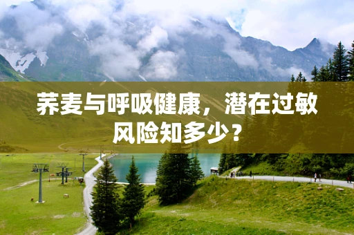 荞麦与呼吸健康，潜在过敏风险知多少？
