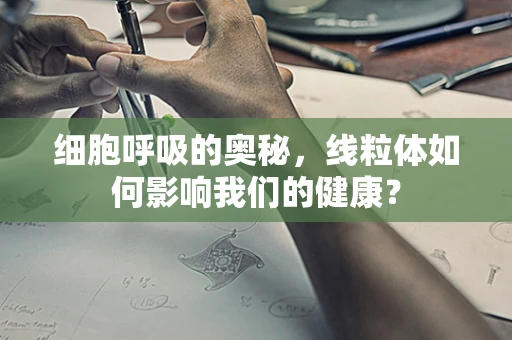 细胞呼吸的奥秘，线粒体如何影响我们的健康？