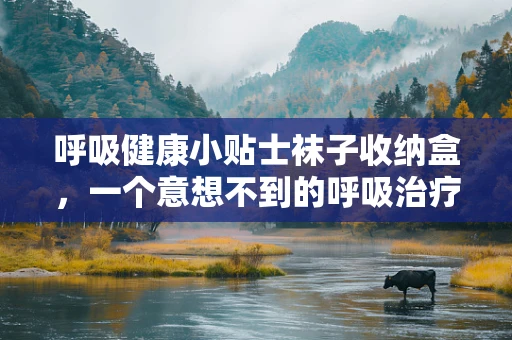 呼吸健康小贴士袜子收纳盒，一个意想不到的呼吸治疗小妙招？