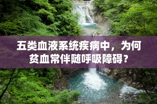 五类血液系统疾病中，为何贫血常伴随呼吸障碍？