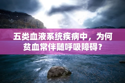 五类血液系统疾病中，为何贫血常伴随呼吸障碍？