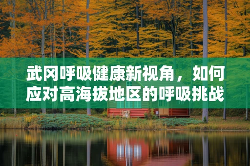 武冈呼吸健康新视角，如何应对高海拔地区的呼吸挑战？