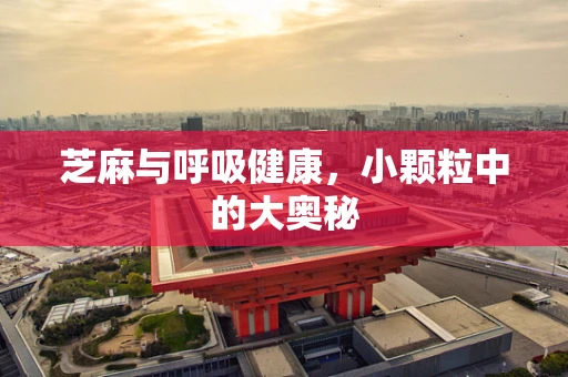 芝麻与呼吸健康，小颗粒中的大奥秘