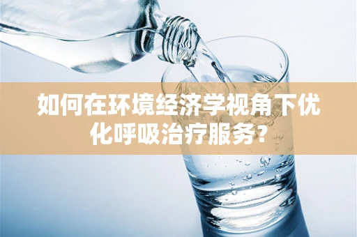 如何在环境经济学视角下优化呼吸治疗服务？