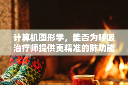 计算机图形学，能否为呼吸治疗师提供更精准的肺功能评估？