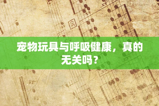宠物玩具与呼吸健康，真的无关吗？