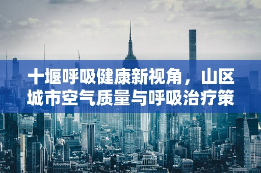 十堰呼吸健康新视角，山区城市空气质量与呼吸治疗策略