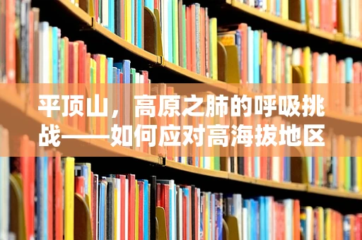 平顶山，高原之肺的呼吸挑战——如何应对高海拔地区的呼吸治疗挑战？