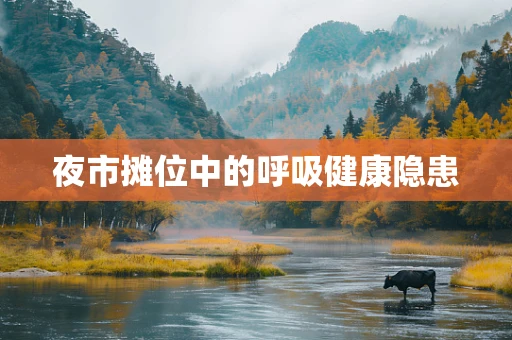 夜市摊位中的呼吸健康隐患