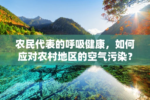 农民代表的呼吸健康，如何应对农村地区的空气污染？