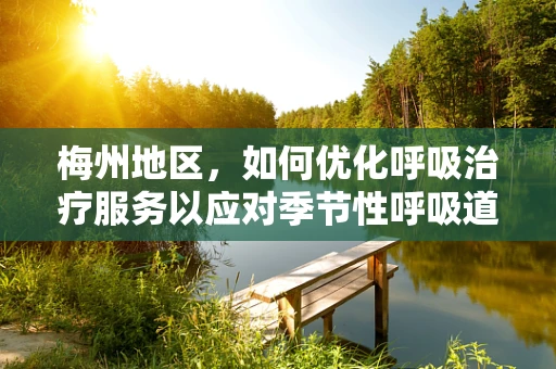 梅州地区，如何优化呼吸治疗服务以应对季节性呼吸道疾病？