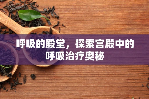 呼吸的殿堂，探索宫殿中的呼吸治疗奥秘