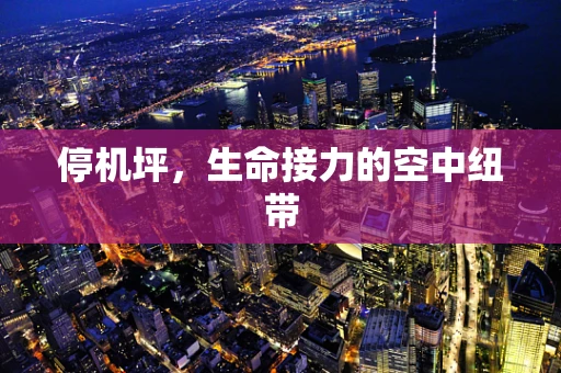 停机坪，生命接力的空中纽带
