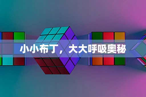 小小布丁，大大呼吸奥秘