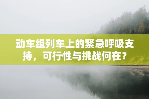 动车组列车上的紧急呼吸支持，可行性与挑战何在？