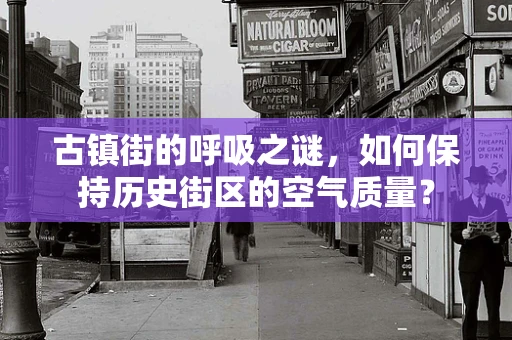 古镇街的呼吸之谜，如何保持历史街区的空气质量？