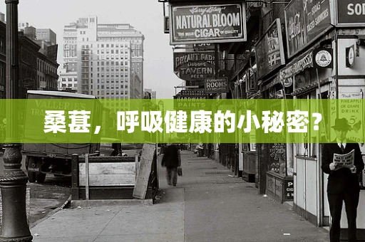 桑葚，呼吸健康的小秘密？