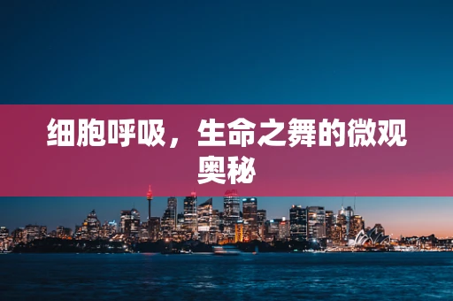 细胞呼吸，生命之舞的微观奥秘