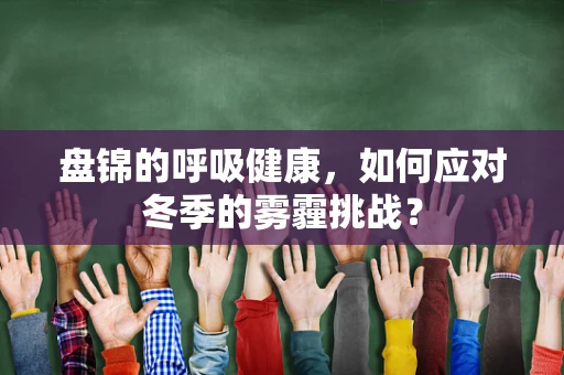 盘锦的呼吸健康，如何应对冬季的雾霾挑战？
