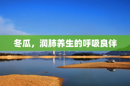 冬瓜，润肺养生的呼吸良伴