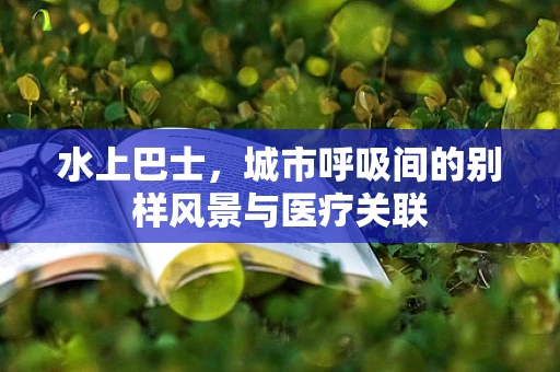 水上巴士，城市呼吸间的别样风景与医疗关联