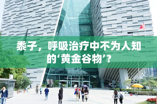 黍子，呼吸治疗中不为人知的‘黄金谷物’？