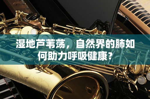 湿地芦苇荡，自然界的肺如何助力呼吸健康？