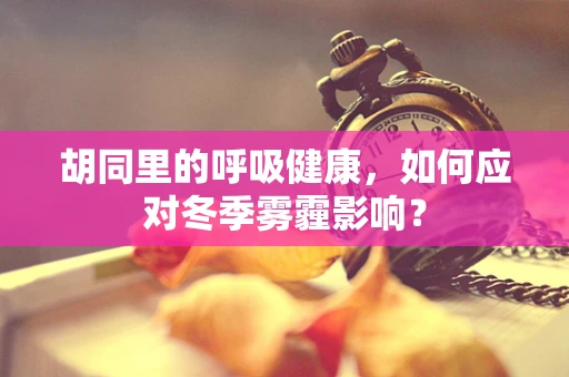 胡同里的呼吸健康，如何应对冬季雾霾影响？