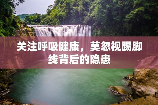 关注呼吸健康，莫忽视踢脚线背后的隐患