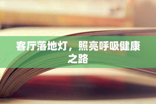 客厅落地灯，照亮呼吸健康之路