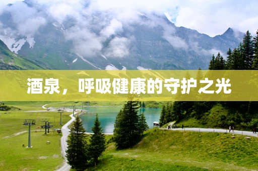 酒泉，呼吸健康的守护之光