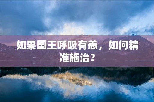 如果国王呼吸有恙，如何精准施治？