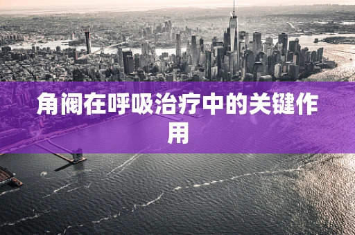 角阀在呼吸治疗中的关键作用