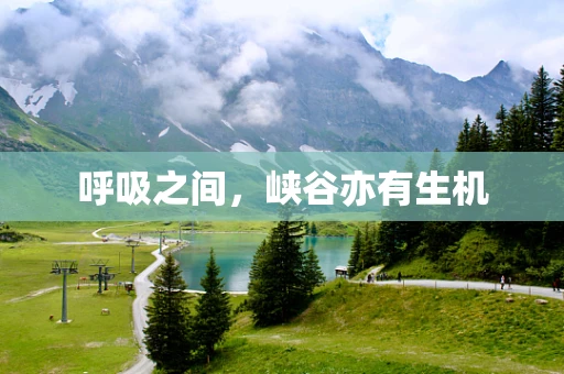 呼吸之间，峡谷亦有生机