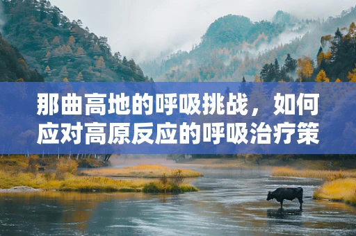 那曲高地的呼吸挑战，如何应对高原反应的呼吸治疗策略？