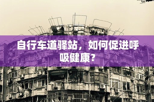 自行车道驿站，如何促进呼吸健康？