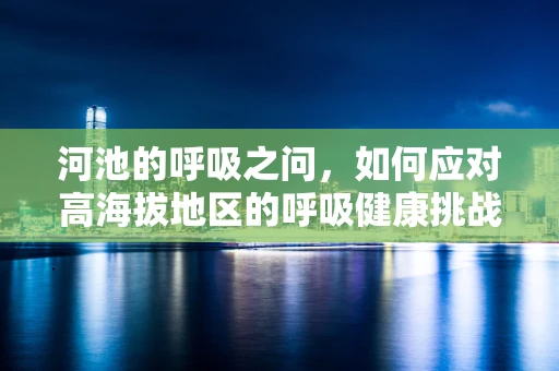 河池的呼吸之问，如何应对高海拔地区的呼吸健康挑战？