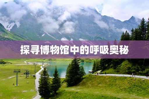 探寻博物馆中的呼吸奥秘