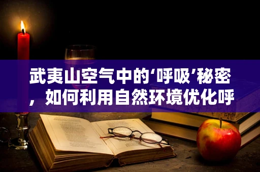 武夷山空气中的‘呼吸’秘密，如何利用自然环境优化呼吸治疗？